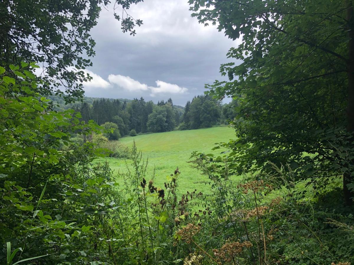 Ferienwohnung Waldruhe Hessisch Oldendorf Kültér fotó